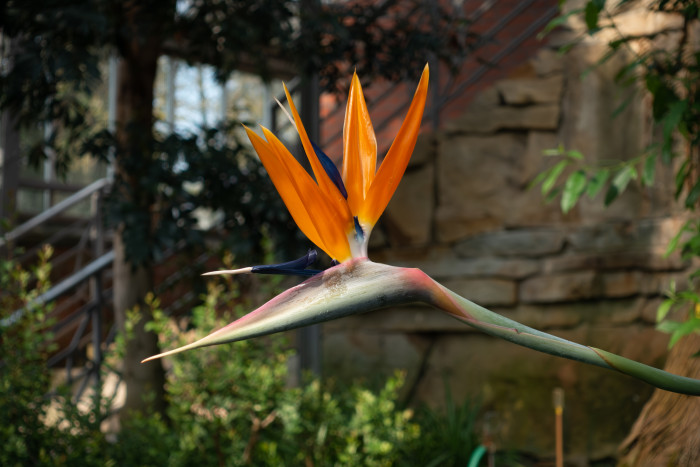 Das RAW-Bild, entrauscht und nachgeschärft mit Lightroom Classic (Bild: Tobias Költzsch/Golem.de)